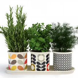 Orla kiely herb pots with tray